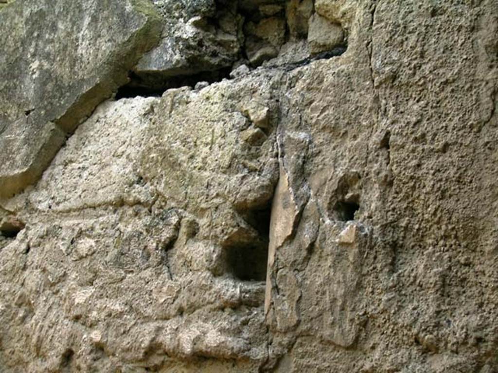 V.9/10, Herculaneum. December 2004. Detail from south-east wall in rear room. Photo courtesy of Nicolas Monteix.